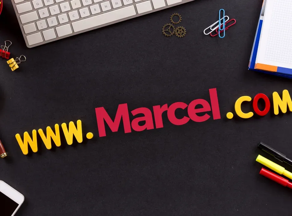 nume+de+domeniu.webp
