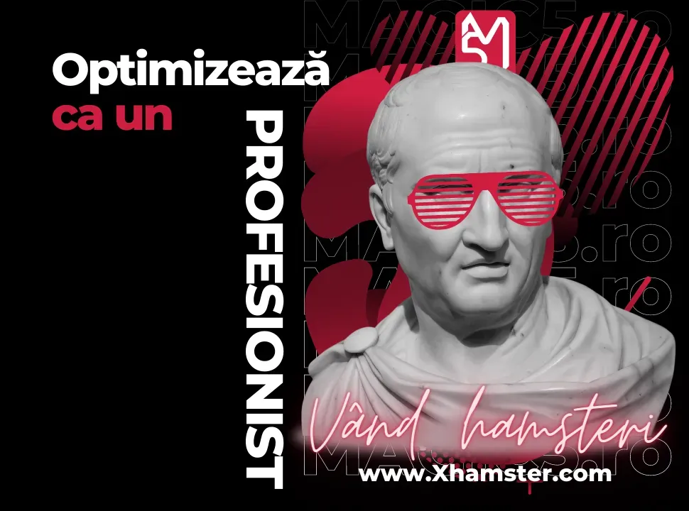 optimizeaza+SEO+ca+un+pro.webp