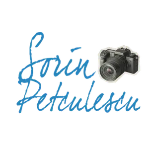 sorin petculescu